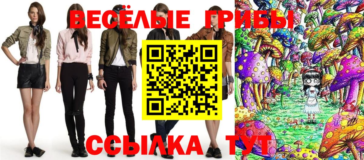 Галлюциногенные грибы мицелий  Вход с VPN  Дмитров 