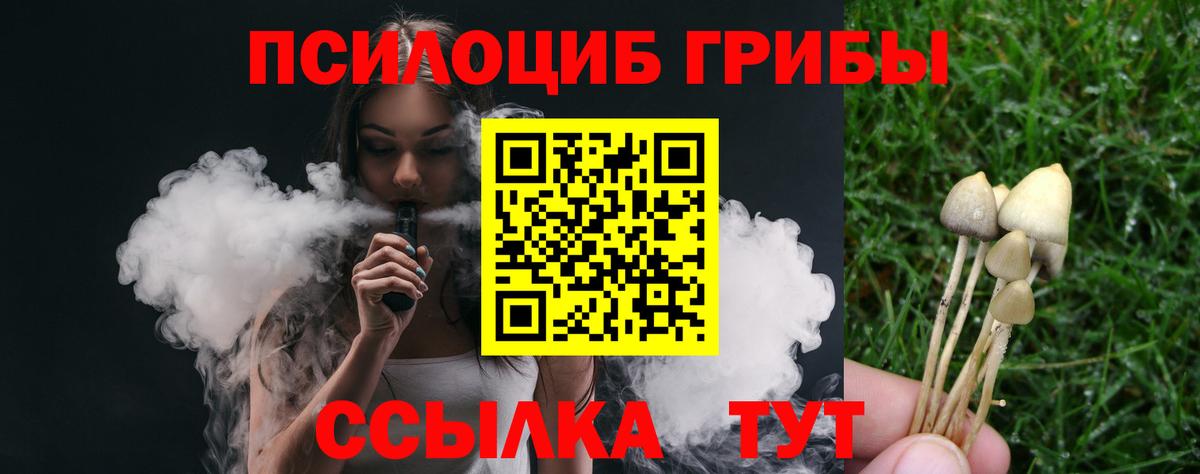 Галлюциногенные грибы прущие грибы Дмитров